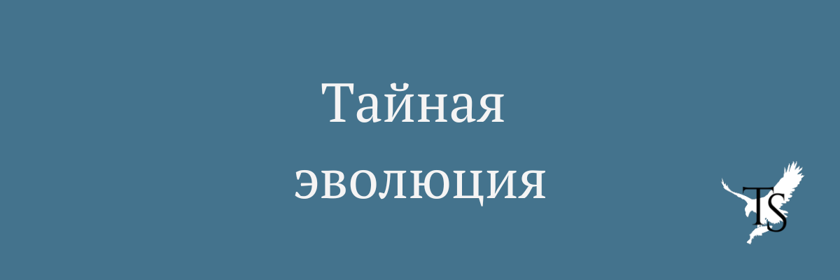 Newsletter 1